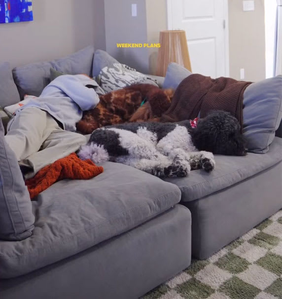 Weekend Plans. Luscious Modular Sofa Arranged like a bed with man and dogs.